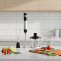 Lames en acier inoxydable bouton poussoir contrôle 500ml capacité cuisine ménage main bâton mélangeur