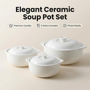 3 tailles : 8,5, 9,5 et 11,5 pouces, bols à soupe en porcelaine blanche embossée avec couvercle, résistants à la chaleur, pots de service en céramique pour la maison, la cuisine, cadeau - Product Image 1