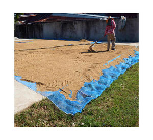 Écran <span class=keywords><strong>de</strong></span> séchage <span class=keywords><strong>de</strong></span> poisson Filet <span class=keywords><strong>de</strong></span> séchage <span class=keywords><strong>de</strong></span> crevettes Feuille <span class=keywords><strong>de</strong></span> séchage <span class=keywords><strong>de</strong></span> fruits <span class=keywords><strong>de</strong></span> mer pour le <span class=keywords><strong>jardin</strong></span> - Product Image 1