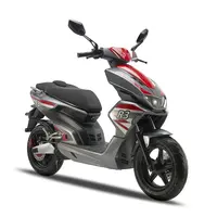 Batería eléctrica extraíble para motocicleta, scooter con eec coc, 2021 W, novedad de 3000