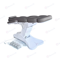 Fauteuil/Lit de Beauté Électrique Anteeth Modèle Économique pour Spa et Traitements Esthétiques Faciaux
