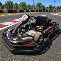 Go Kart de Carreras para Adultos con Motor de Gasolina y Tracción por Cadena, con Alerón Trasero, 45 km/h, para Entretenimiento en Pistas al Aire Libre