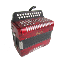 Accordion 8 Bass 21 Keys Keyboard Instruments