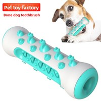 Jouet à mâcher pour chien en TPR résistant aux morsures, bâton à mâcher pour chiens de petite/moyenne taille avec design Teddy Golden Hair
