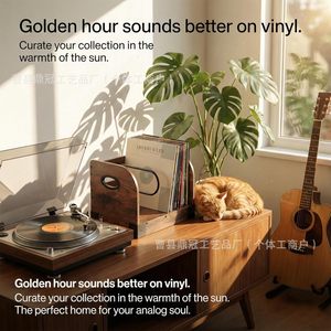 Wooden Record Storage Rack With Partitions Desktop <b>Vinyl</b> Display Holder For Music Lovers - Product Image 5