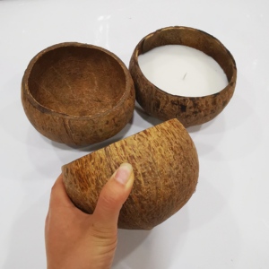 Coconut Bowl Custom Soy Wax Coconut Shell Bowl Scented Candles Home Decor