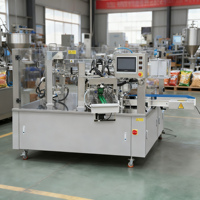 Machine d'emballage de granulés en sachets préformés à 10 stations, Ensacheuse commerciale de glace, Machine de remplissage et de scellage de sachets préformés