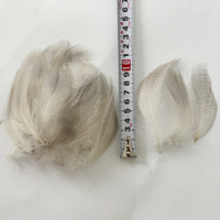 Plumes de canard blanc naturelles de tailles variées en gros pour queues de streamer, ailes de mouche et accents sur les mouches pour truites Steelhead et achiganes