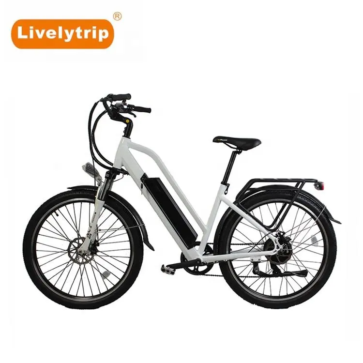Commercio all'ingrosso di New Design Powful Vintage E Bici 250W Bicicletta Elettrica Bici elettrica