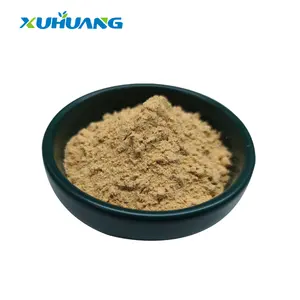 Xuhuang供給100% 卸売純粋エキスangelicaシネンシス根粉末