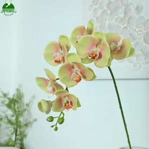 OEM 8 Testa Orchidea In Lattice Orchidee Artificiali Fiori di Orchidee Phalaenopsis Piante