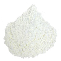 Poudre d'oxyde de cérium de haute pureté 99,95% CeO2 10-25 µm pour usage industriel