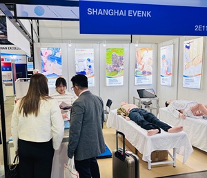 Gd/a18202 y tế giải phẫu <span class=keywords><strong>medican</strong></span> phần của người đứng đầu - Product Image 5