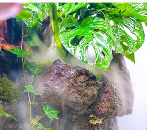 Hot Verkoop Aquarium Sunsun Mistmaker Mist Machine Landschapsarchitectuur Plant 220-240V Externe Mister China Slicent Werk Dubbele gaten - Product Image 6