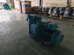High Quality 1.5HP Copper Motor Sea <b>Water</b> Self Priming <b>Pump</b> OEM for Swimming <b>Pool</b> - Product Image 2