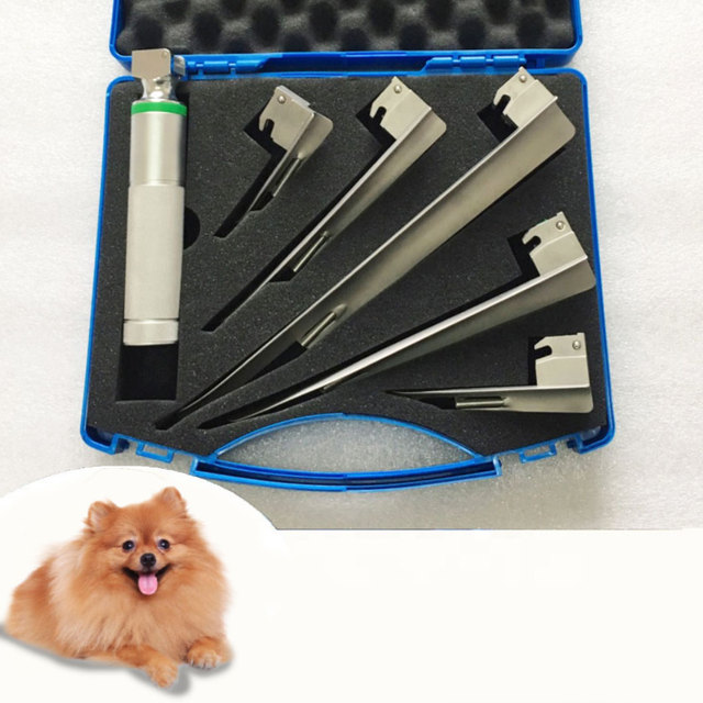 WTL-DG Pet Hospital Surgical Clinic Hospital Multi-purpose Veterinary Fiber Optic Animal Anesthesia Laryngoscope