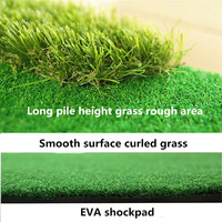Tapis vert Portable de Golf, intérieur/extérieur, Mini entraînement de pratique de Golf, jeu et cadeau pour maison, bureau et extérieur