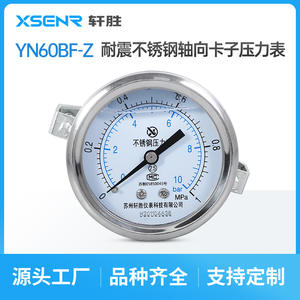 Manomètre en acier inoxydable Suzhou XuanSheng YNBF-60Z 60 mm analogique 10 bars MPa à montage sur panneau - Product Image 4