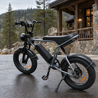 Vélo électrique à pneus larges de 20 pouces 48 V 250 W pour la vente en gros
