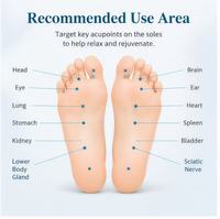 Patch Chauffant pour les Pieds à l'Armoise Certifié CE – 5 Paires par Boîte – Soulage les Pieds et les Membres Froids, Détente des Muscles des Pieds