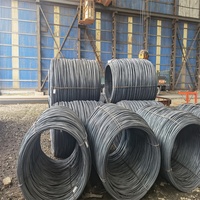 Fil d'acier galvanisé laminé à froid CHQ de 1 mm, 5 mm, 10 mm pour la fabrication de vis, le soudage et les applications de pliage, sphéroïdalisé