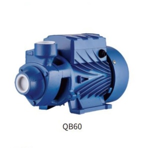 Pompe à eau périphérique SUOU QB60 haute performance 0,37 kW pour le jardin domestique, le surpression et les systèmes automatiques - Product Image 1