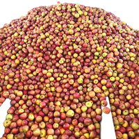 Tomatenbak/Pasta Sinaasappel/Appel/Mango Vruchtensap Productielijn