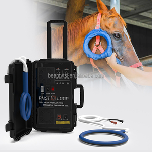 Máquina de tratamiento de lesiones deportivas sin dolor PMST Loop Physio Magneto Veterinary Instrument Horse por PMST Vet - Product Image 1