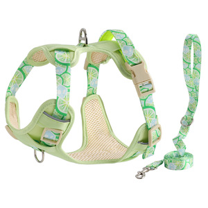Correa de verano tipo chaleco para perros, arnés transpirable para mascotas, adecuado para perros pequeños, medianos y grandes como Corgis y Bichons. - Product Image 1
