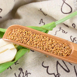 TONGJIN عالية الجودة الأصفر الخردل البذور للطهي موثوق الغذاء بذور الخردل في السائبة - Product Image 3