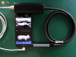 Rectal <strong>Linear</strong> <strong>Probe</strong> for Cow Horse Small Embryo Veterinary Ultrasound Scanner Good <strong>Price</strong> - Product Image 5