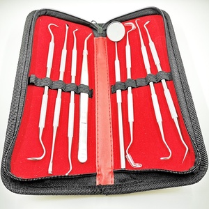 2025 Best Quality Oral Care <strong>Kits</strong> 8pcs Stainless Steel <strong>Dental</strong> Tool <strong>Kit</strong> Instrument <strong>Dental</strong> Hygiene <strong>Set</strong> - Product Image 5