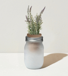 Pots de <span class=keywords><strong>jardin</strong></span> d'herbes écologiques au <span class=keywords><strong>design</strong></span> moderne Cadeaux de cuisine de la taille d'une pinte Pot de fleur en fibre de plante Ensemble de jardinage pour la décoration intérieure - Product Image 3