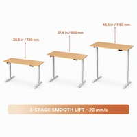 Escritorio Eléctrico Modular Moderno de Hierro OEM Personalizado, Ajustable en Altura, para Trabajar de Pie o Sentado, con Motor Único, Ergonómico, para Oficina en Casa