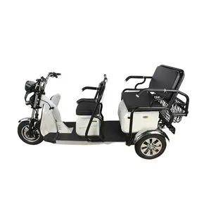 EURO 4 EEC approved Electric Rickshaws For Wholesalers and Importers