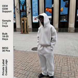 <span class=keywords><strong>Felpa</strong></span> con Cappuccio Personalizzabile con Logo, Unisex, in Cotone Spesso 800 GSM, Pesante, Foderata in Pile, Oversize, per Marchi Privati - Product Image 1