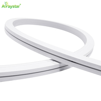 Bande lumineuse LED néon RGBW ultra longue 20M/rouleau 48V 13x13mm Silicone Neon Flex sans chute de tension IP67 étanche