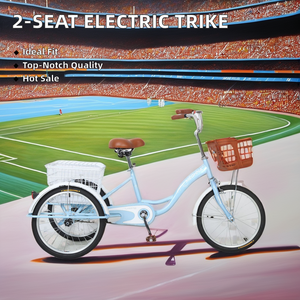 Triciclo de Pedales Personalizado para 2 Adultos, Mini Bicicleta de Carga de 3 Ruedas con Horquilla de Acero para Desplazamientos Urbanos en India - Product Image 6