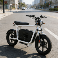 Nouveau modèle de vélo électrique hybride sport rétro 48v Mtb Dirt Chine Batterie au lithium Moped Trail Acheter Super Petits Vélos électriques Mini