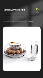 Incubadora de Huevos WON EGG 2026 de Buena Calidad, Incubadora Totalmente Automática con Capacidad para 12 Huevos en Venta - Product Image 6