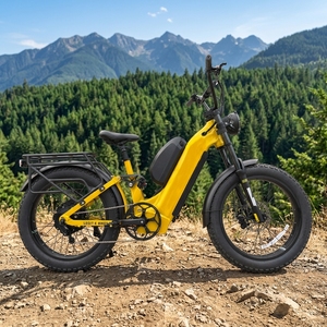 Bicicleta Eléctrica de Neumáticos Anchos de 24 Pulgadas con Doble Batería, 72v 3300w, Suministro Directo de Fábrica Lantu, para el Mercado Estadounidense - Product Image 5