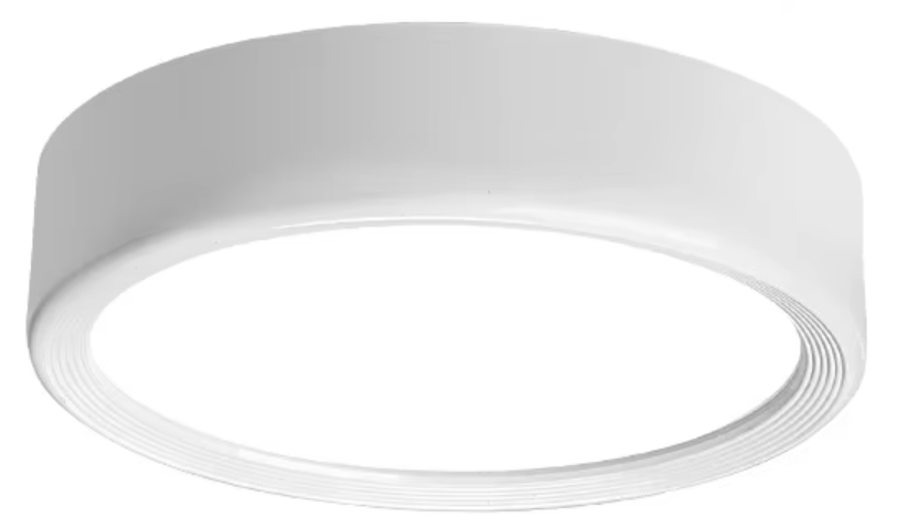 Concha blanca - Diámetro 8cm - Altura 3cm