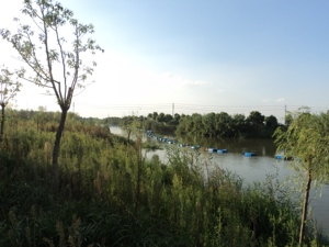 Draga de Succión con Cortador Ecológica, Equipo de Dragado para Puertos y Ríos, Bajo Consumo de Energía y Ahorro de Energía - Product Image 5