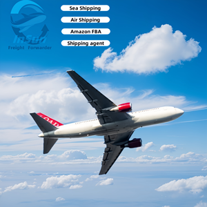 <span class=keywords><strong>Service</strong></span> de stockage gratuit en entrepôt, fret aérien CIF de Chine vers l'aéroport de Vilnius (VNO), l'aéroport de Kaunas (KUN), Lituanie - Product Image 4