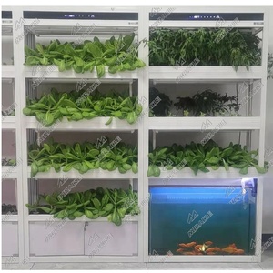 Sistema Acquaponico Domestico per Coltivazione <span class=keywords><strong>di</strong></span> Ortaggi a Foglia e Pesci - Product Image 3