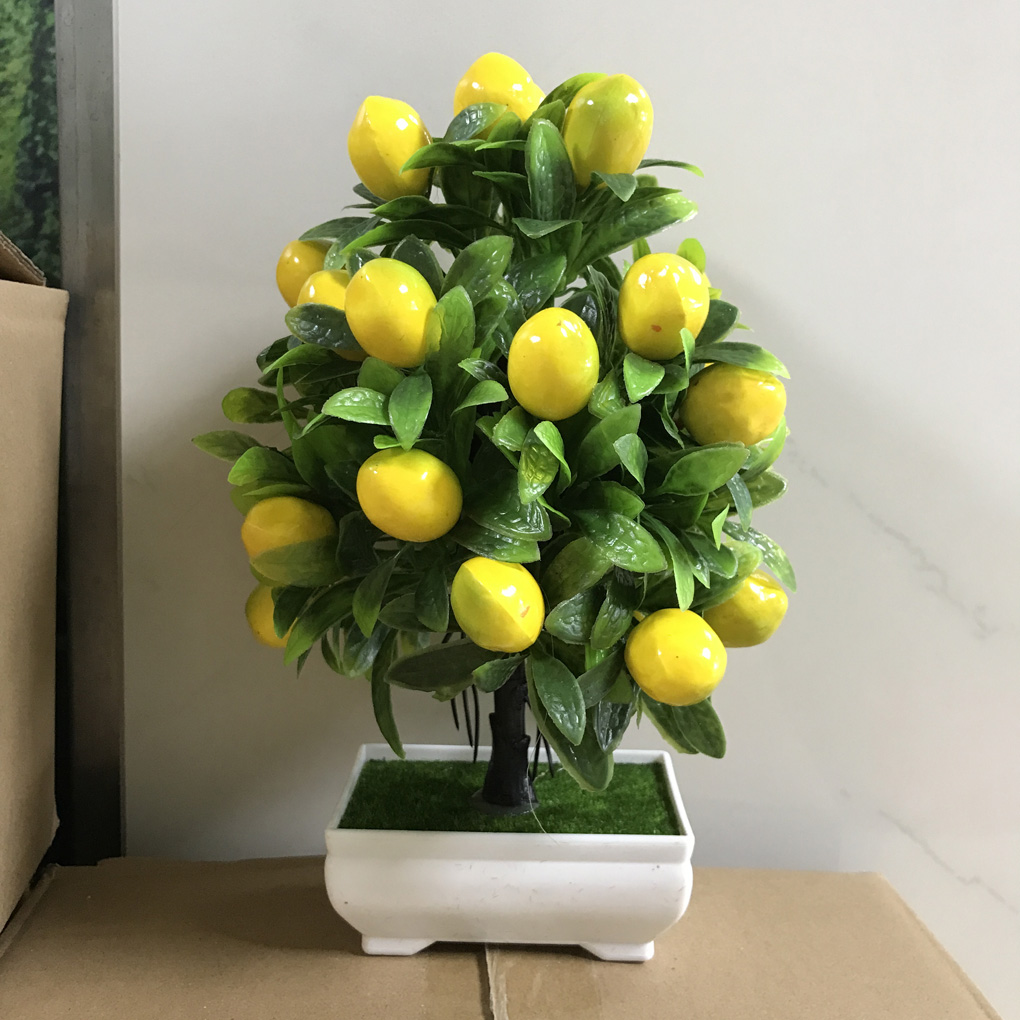#5 (25 limones)