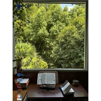 Ventana Exterior de Aluminio PDP con Rejilla Fija, Insonorizada, Aislante del Calor, Impermeable, con Protección Contra Insectos, para Baño y Escalera