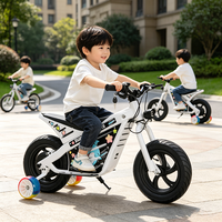 Moto cross électrique pour enfants certifiée CE, batterie lithium 24V, avec contrôle de vitesse réglable, pour le plaisir des enfants dans la cour.