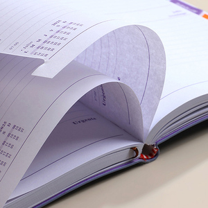 En gros 2025 planificateur <span class=keywords><strong>rendez</strong></span>-<span class=keywords><strong>vous</strong></span> livre quotidien anglais Journal académique gestion du temps avec Index planificateur cahier pour bureau - Product Image 6
