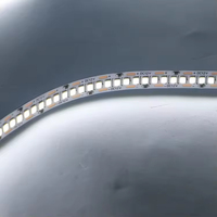 Bande lumineuse LED SMD2835 de haute qualité, haute luminosité, 240 LED/m, flexible, DC12V 24V, 10 mm, IP20, corps en cuivre, éclairage décoratif